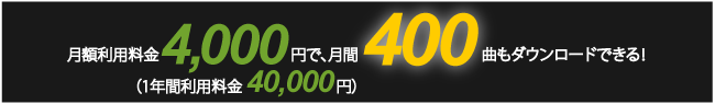 zp\4,000 Nzp\40,000